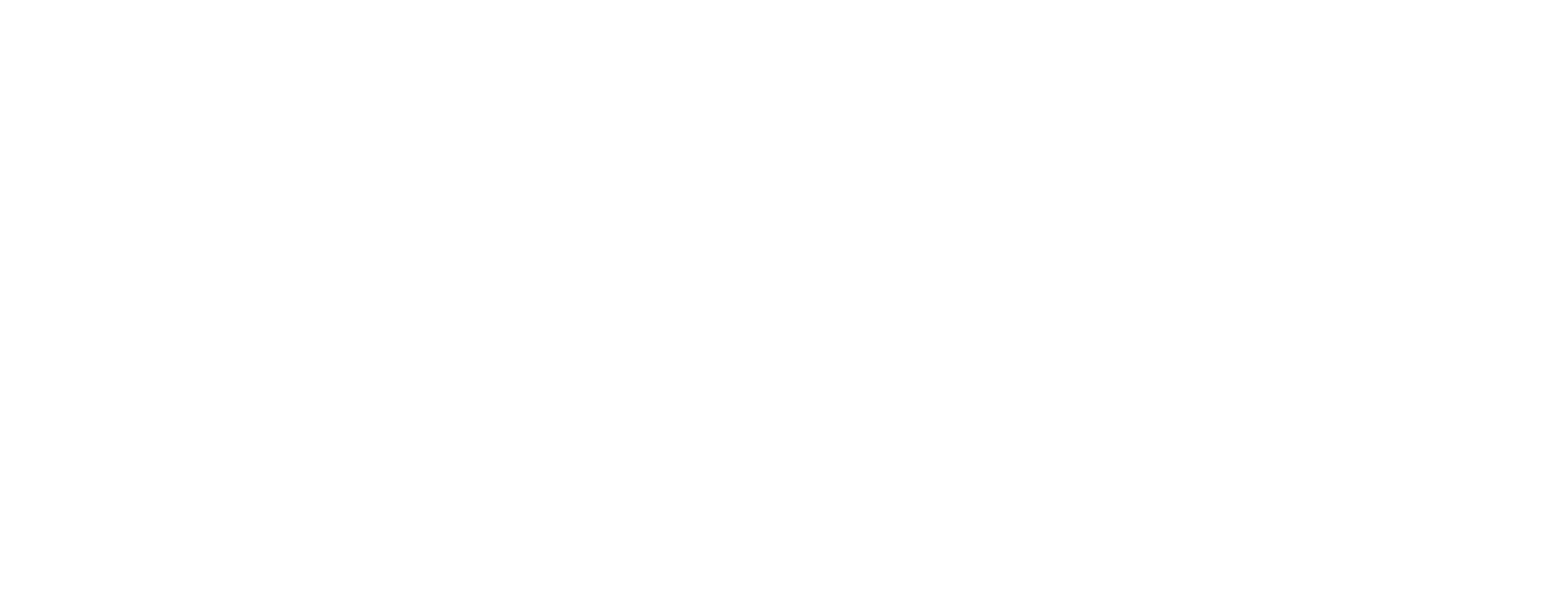 2020_IASI_logo_white