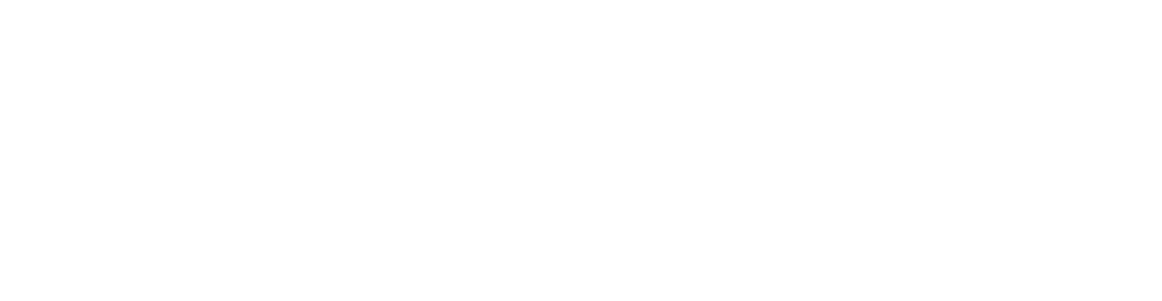 Peerless-AV-logo_white.png