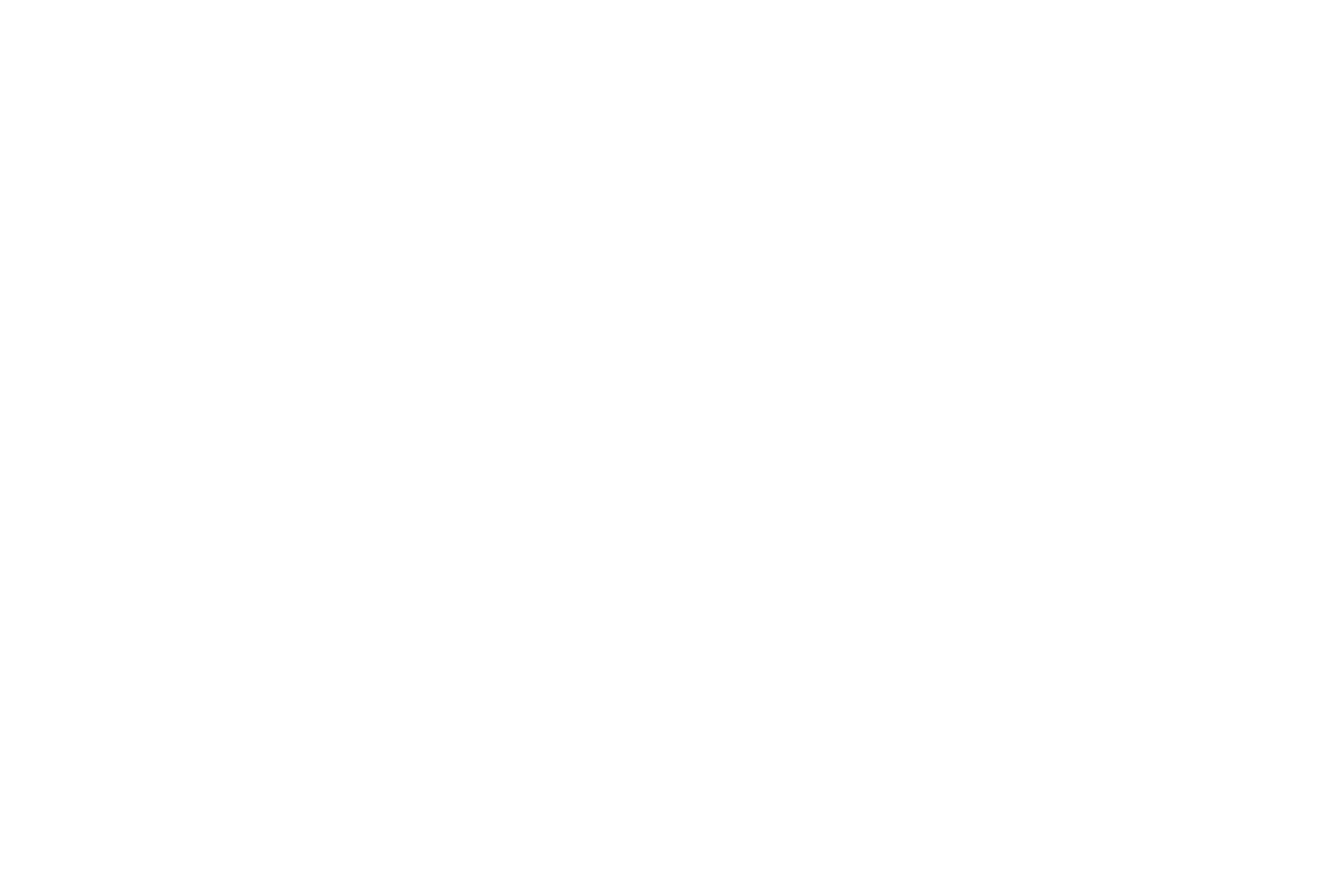 White_Megapixel Wordmark TM